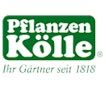 Pflanzen Kölle