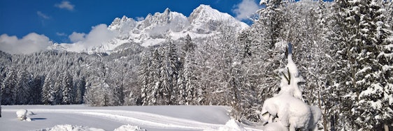 Skirulaub: 50€ Rabatt pro Person - z.B. 5 Tage im Apartment inkl. Skipass ab 199€