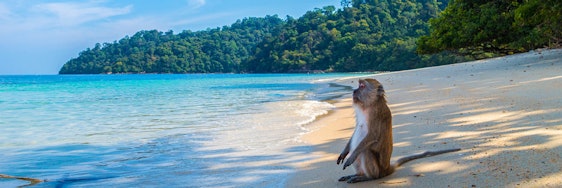 Luxusurlaub auf Koh Samui: 2 Wochen im 5*Hotel mit Infinity Pool inkl. Frühstück + Flüge ab 951€