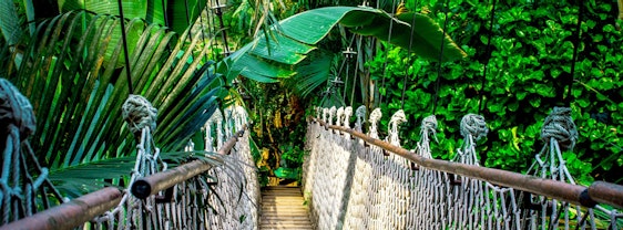 Tropical Islands: Übernachtung inkl. Frühstück, Eintritt + Sauna ab 55€/Person