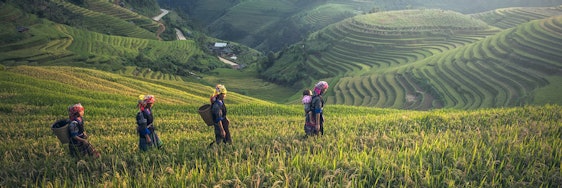 Südostasien zur besten Reisezeit: Hin- und Rückflüge inkl. Gepäck nach Thailand, Kuala Lumpur, Indonesien und Co. ab 389€