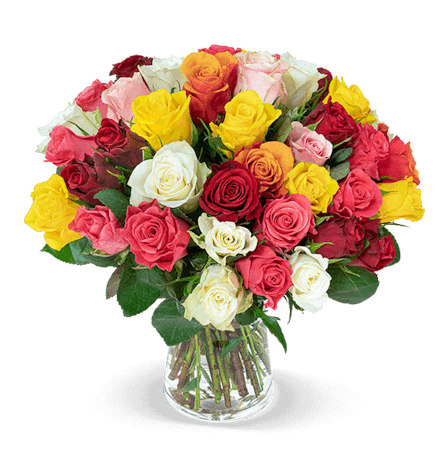 Rosenarrangement "Crazy Christmas" für 25€ – 41 bunte Rosen mit 50cm Stiellänge