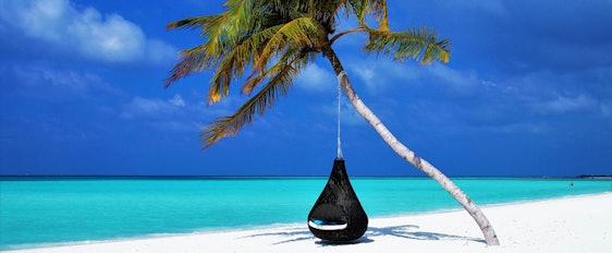 Traumurlaub auf den Malediven: 2 Wochen im top 4* Eco-Hotel inkl. Frühstück, Transfer und Flüge ab 1.279€