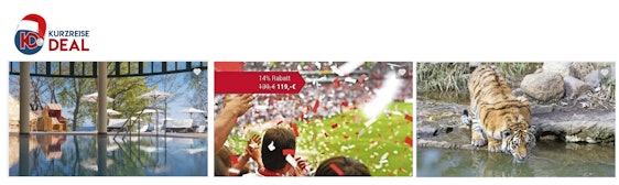 17,5% Rabatt auf alle Reisen bei Kurzreisedeal.de – z.B.: 2 Tage "Rhein in Flammen 2020 in Bonn" inkl. Hotel ab 161€/Person