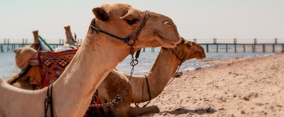 Winterurlaub in Hurghada: 1 Woche All Inclusive im 5*Hotel inkl. Transfer und Flüge ab 269€/Person